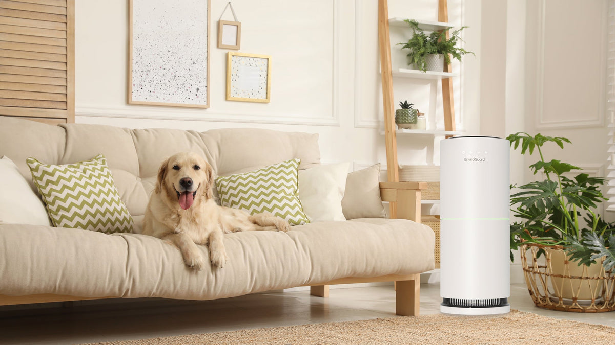 How to Eliminate Pet and Household Odours Without Harsh Chemicals