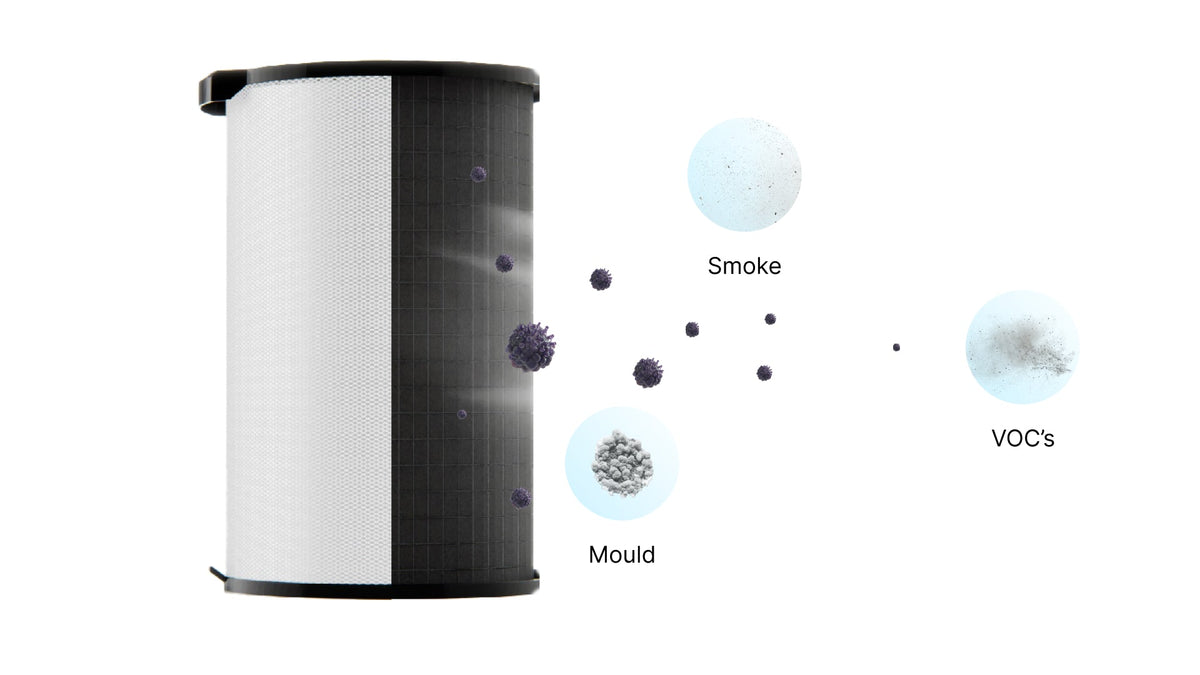 How Air Purifiers Help Eliminate Mould Spores and Improve Air Quality