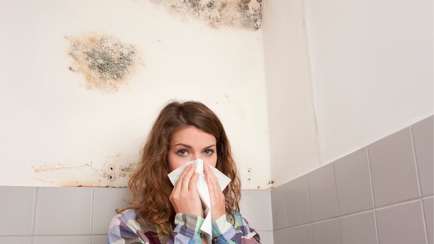 How to Get Rid of Musty Mould Smells for Good