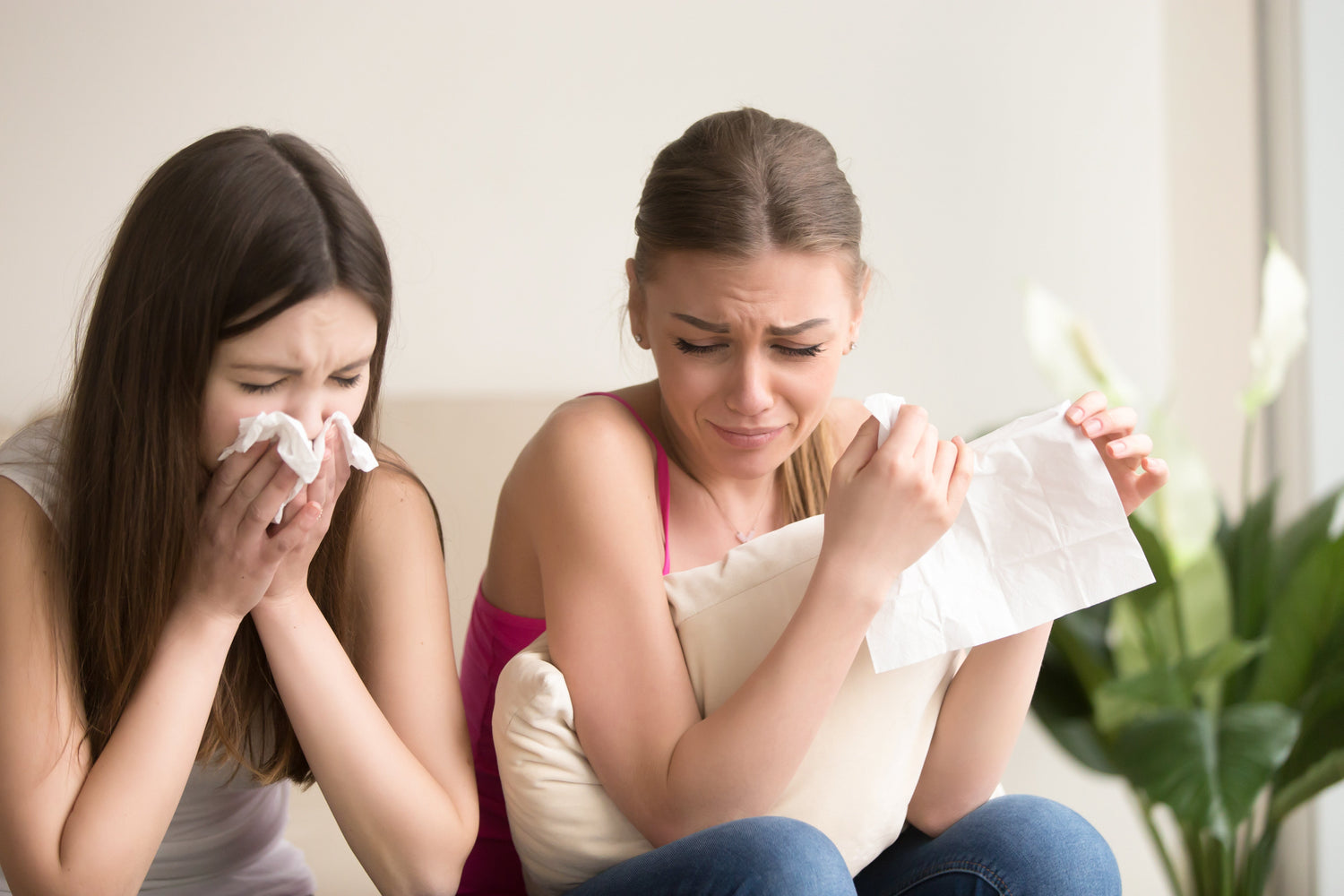 How to Allergy-Proof Your Home with the Right Air Purifier