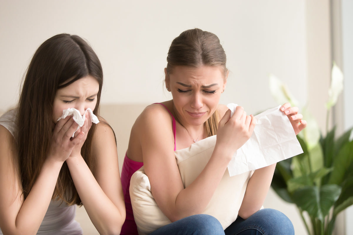How to Allergy-Proof Your Home with the Right Air Purifier